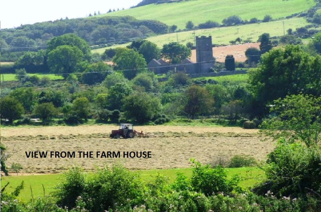 Wonderful Setting Farmhouse Apartment Wicklow Zewnętrze zdjęcie