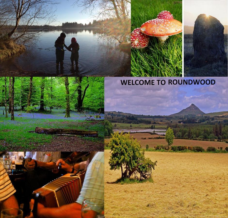 Wonderful Setting Farmhouse Apartment Wicklow Zewnętrze zdjęcie