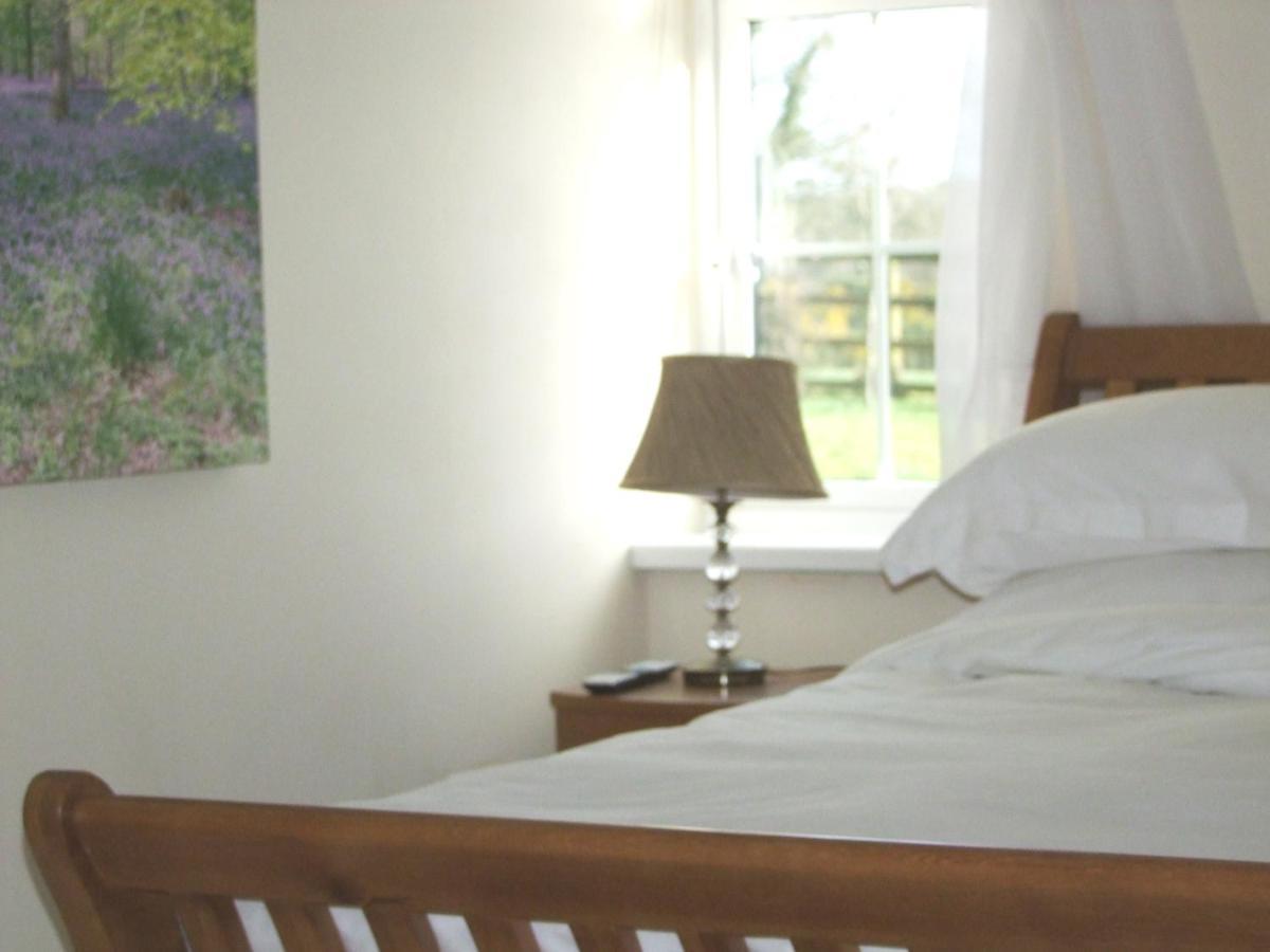 Wonderful Setting Farmhouse Apartment Wicklow Zewnętrze zdjęcie